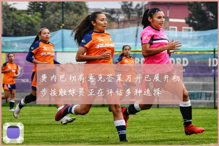 费内巴切有意免签莱万并已展开初步接触球员正在评估多种选择
